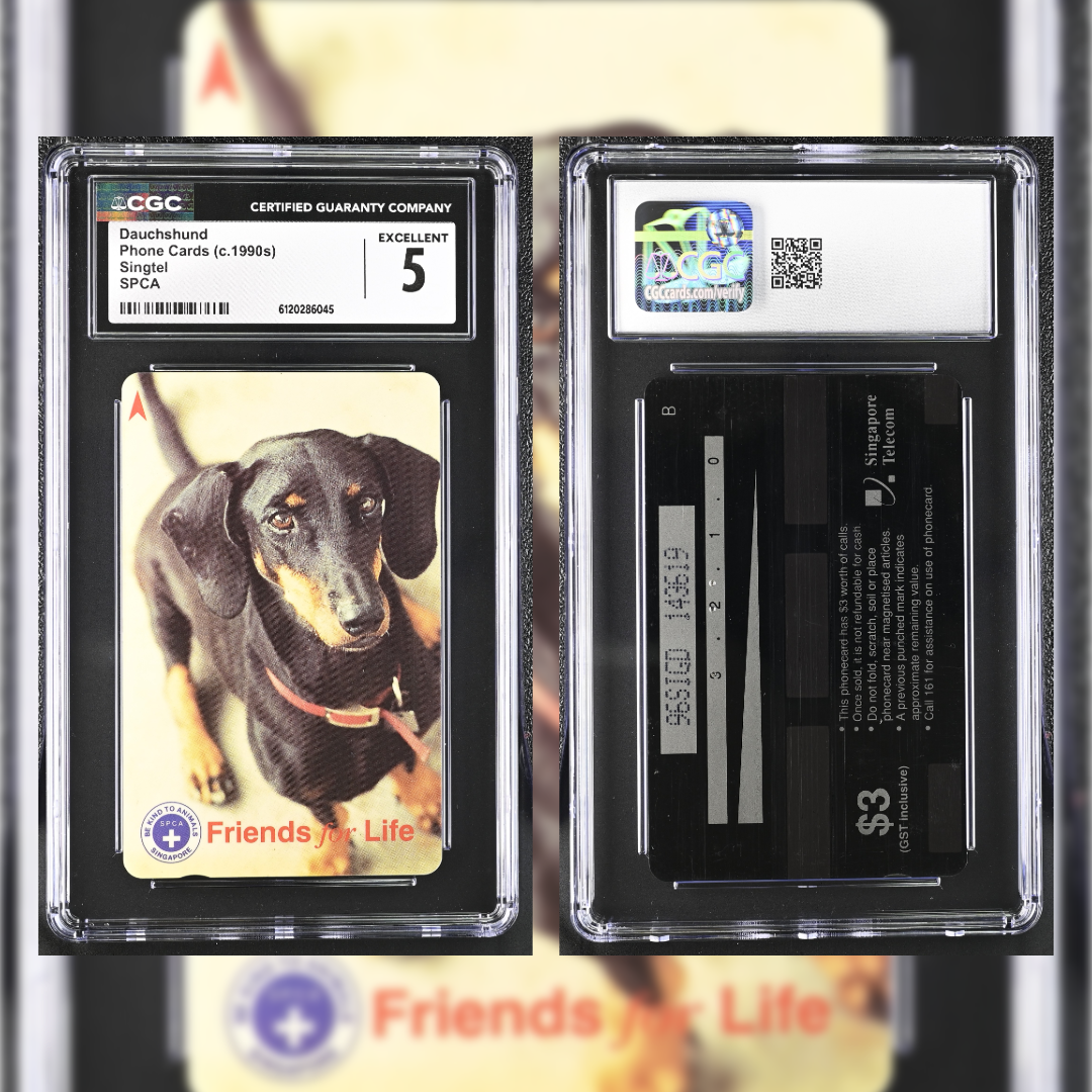 1990 Dauchshund CGC 5 6120286045
