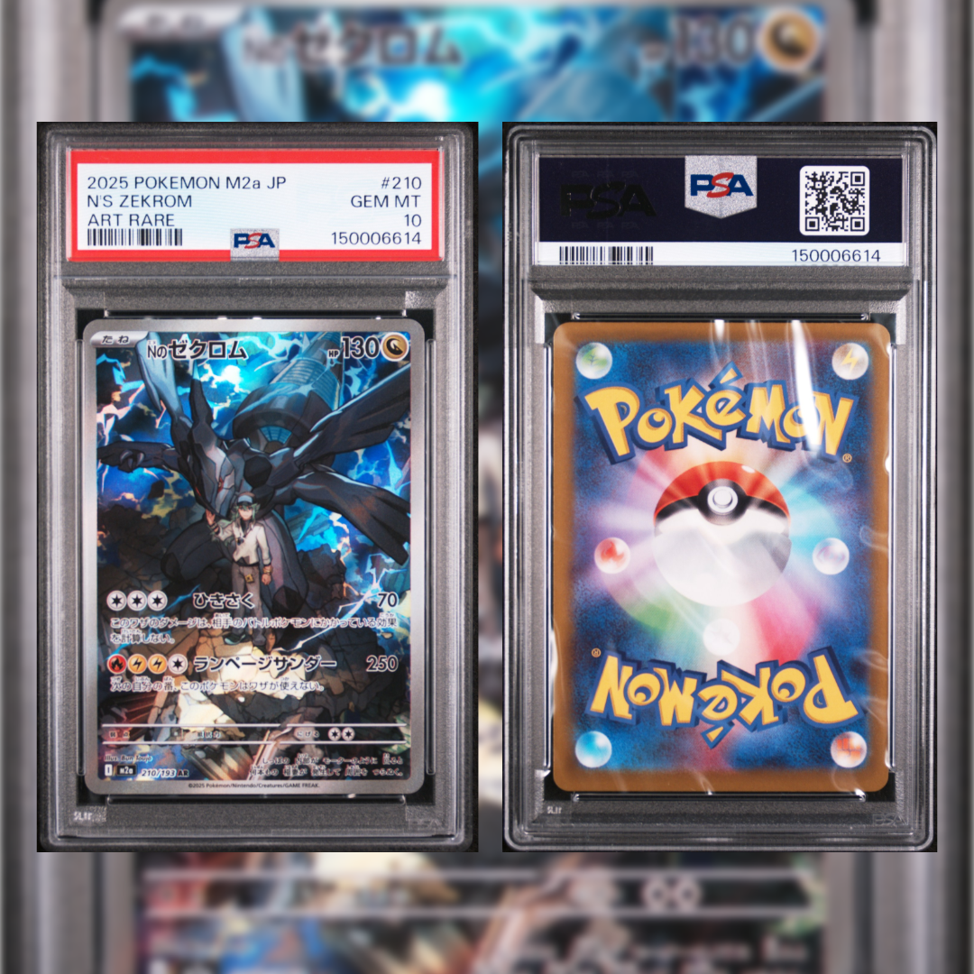 2025 Japanese N's Zekrom #210 PSA 10 150006614