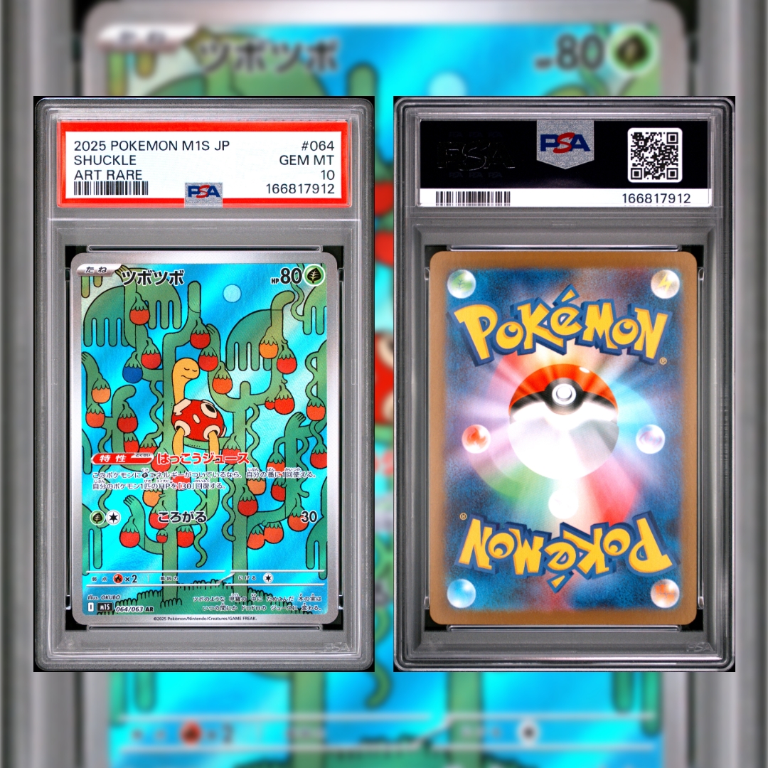 2025 Japanese Shuckle #064 PSA 10 166817912