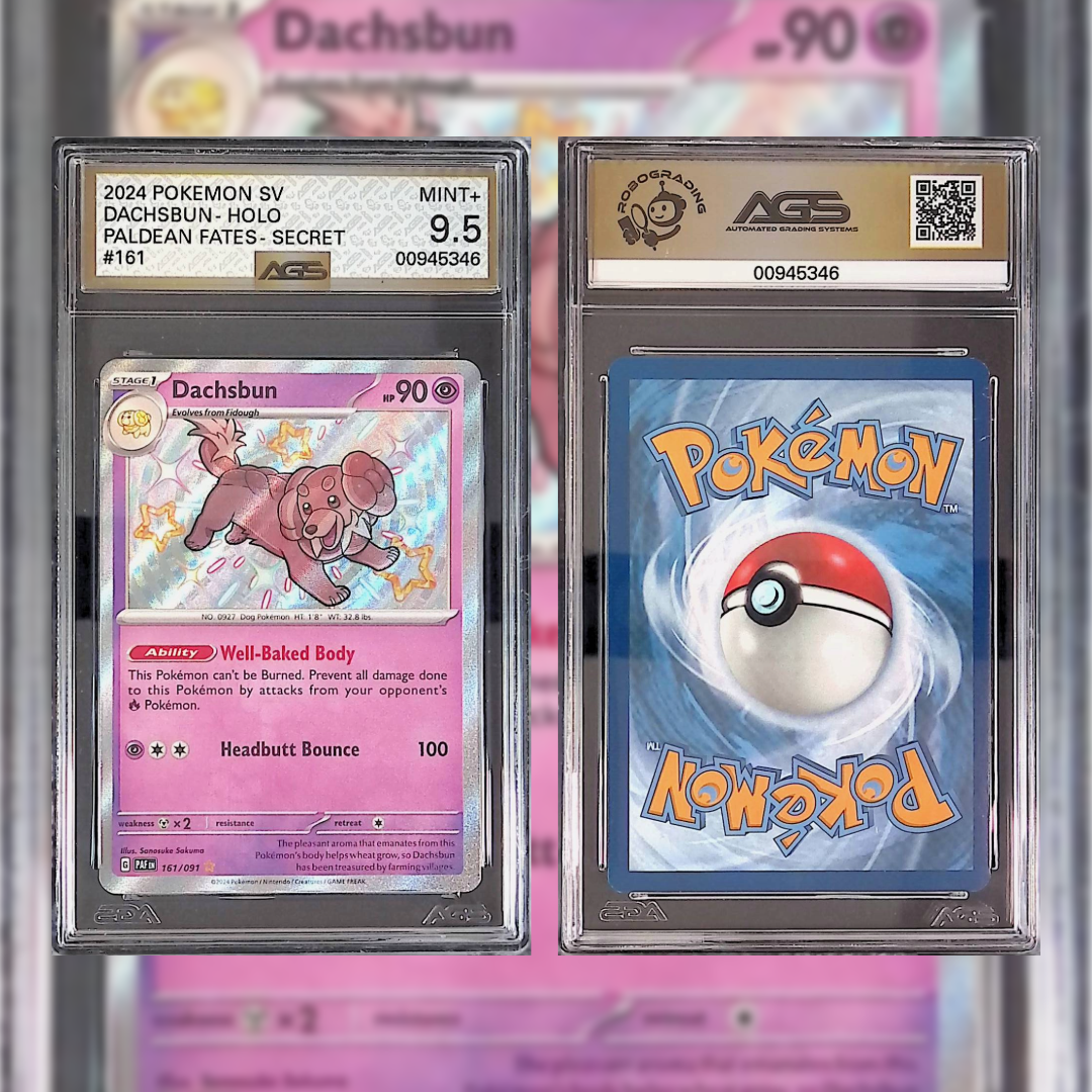 2024 Dachsbun-Holo #161 AGS MINT+ 9.5 00945346