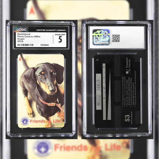 1990 Dauchshund CGC 5 6120286045