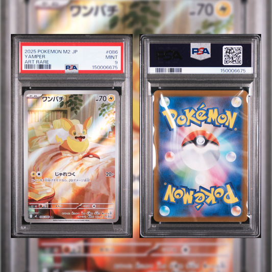 buy psa pokemon cards Style Empty Card Slabs for Trading Caseforceco Whether youre a seasoned collector seeking rare gems or a newcomer looking to start your collection on a high note 1999 Pokmon Game Non-Sports/TCG Cards